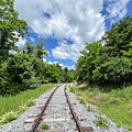Along the Huckleberry Trail - Railroad Tracks 
